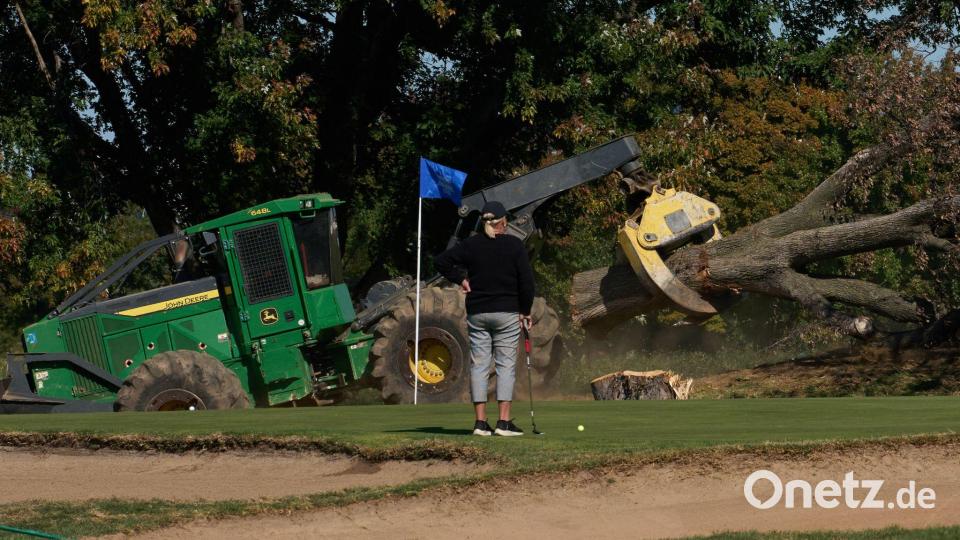 Eine Golferin beobachtet, wie auf dem East Potomac Park Golf Course in Washington Bäume gefällt werden. Bild: Julia Demaree Nikhinson/AP/dpa