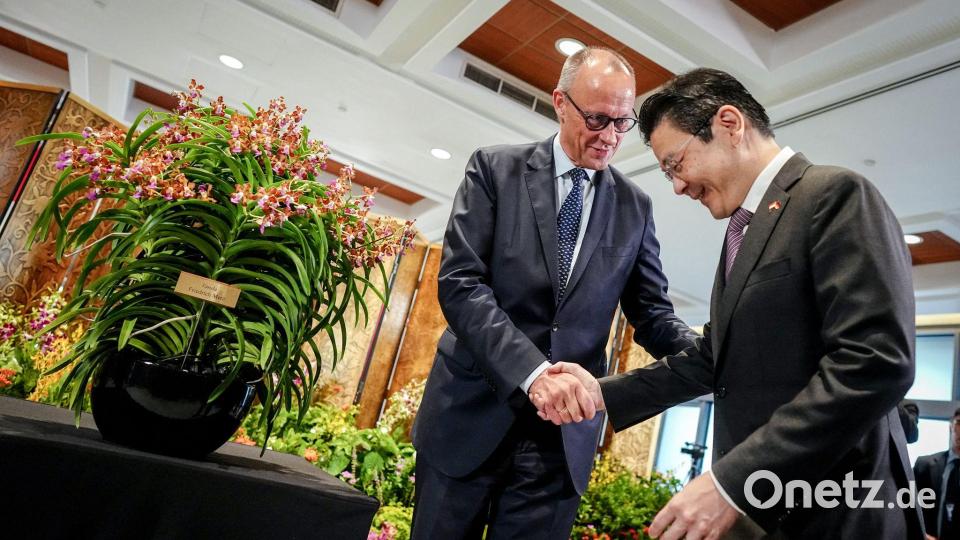 Bundeskanzler Friedrich Merz (CDU) steht neben einer Orchidee „Vanda - Friedrich Merz“ bei seinem Treffen mit Lawrence Wong, Premierminister der Republik Singapur. Bild: Kay Nietfeld/dpa