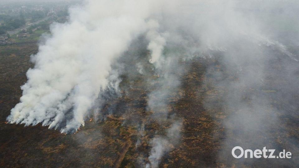 Die Brände auf Borneo und Sumatra wüten seit Monaten. Bild: Muhammad Hatta/AP/dpa