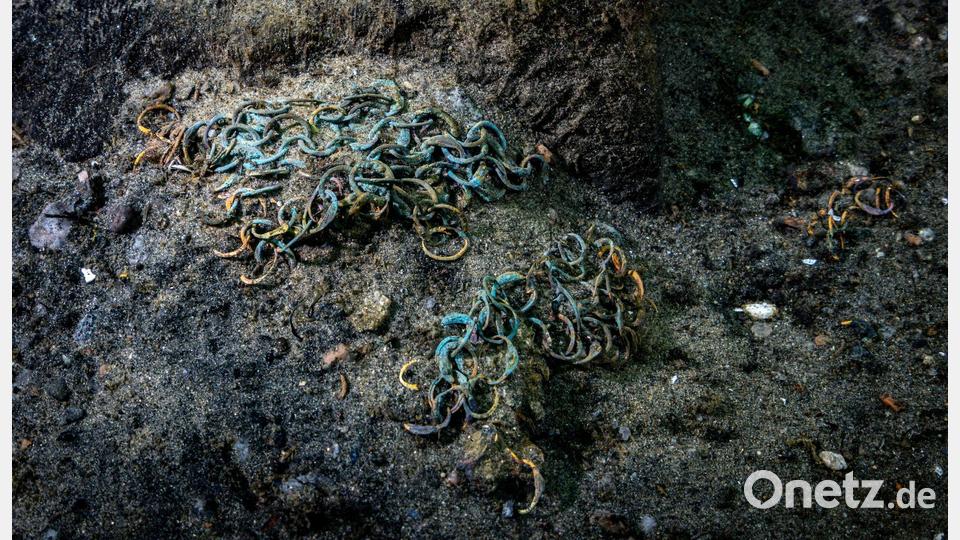 Wrack des 1495 gesunkenen Kriegsschiffs „Gribshunden“ in Südschweden. Bild: Florian Huber/submaris.com/dpa