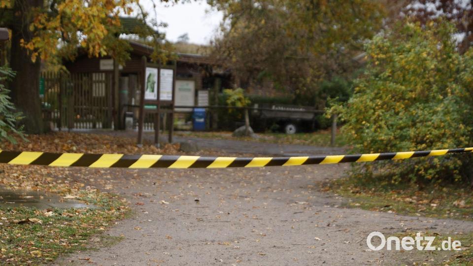 Ein Teil des Wildparks ist abgesperrt. Bild: Carsten Koall/dpa