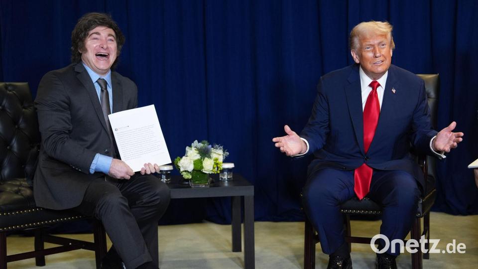 Argentiniens Staatschef Milei und US-Präsident Trump sind Unterstützer der Bolsonaros. (Archivbild) Bild: Evan Vucci/AP/dpa