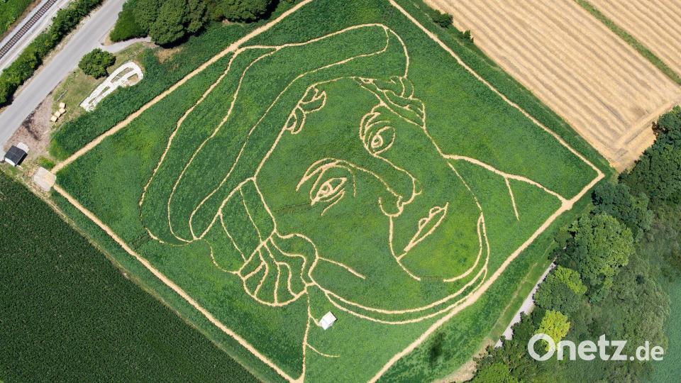 Luther in einem bayerischen Maisfeld - ansonsten ist Bayern überwiegend katholisch. (Symbolbild) Bild: picture alliance / Peter Kneffel/dpa