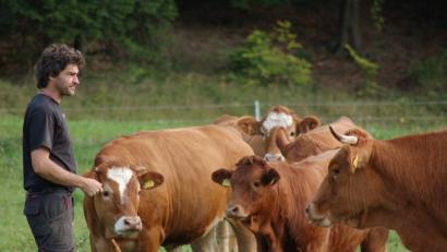Die Mutterkuhherde von Biobauer und -Hofmetzger Klaus Hofmann beweidet die Landschaft rund um Schmidtstadt im Amberg-Sulzbacher Land. Das Fleisch der Rinder wird auch von einzelnen Gastronomen im Amberg-Sulzbacher Land geschätzt und verarbeitet.