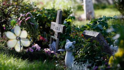 Bild: Clara Rechenberg/Tierheim Berlin/dpa/Symbolbild
Ein Tierfriedhof in Berlin.