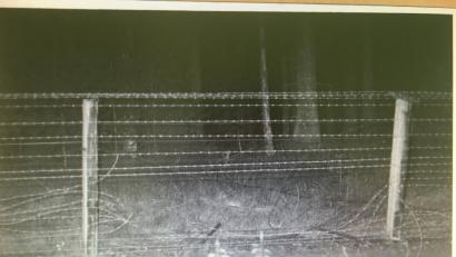 Aus den Akten: Durch dieses Loch im Zaun krabbelte erst Familie Schmidt, dann die Grenzwache. 200 Meter weiter fielen die Schüsse. 	Bild: ÚSTR