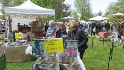 70 Aussteller werden sich bei den zweiten Schwandorfer Gartentagen über den Stadtpark verteilen. 	Bild: Hirsch