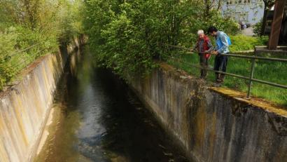 Ein Super-GAU für die Umwelt: Die Betonschlucht des Rosenbaches am Zentralbüro.