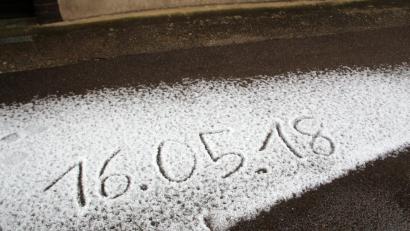 Bild: Alexander Auer