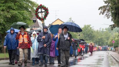 Bei starkem Regen zogen am Donnerstag Tausende Pilger Richtung Altötting. Die größte deutsche Fußwallfahrt führt von Regensburg aus in den 111 Kilometer entfernten Marienwallfahrtsort. Unterwegs schließen sich immer wieder Pilger dem kilometerlangen Zug an.  	Bild: Peter Kneffel/dpa