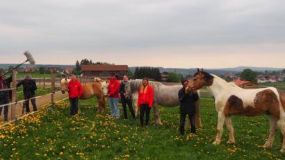 Ein Filmteam begleitet die Ankunft der vier älteren Pferde am Gut Aiderbichl.  	Bild: gz