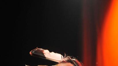 Der Isarindianer Willy Michl kommt mit Hits und einmaligen Geschichten an den Schafferhof.	Bild: exb