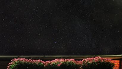 Symbolbild: Karl-Josef Hildenbrand/dpa