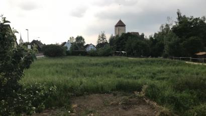 Eine Fläche im Schatten der Burg Dagestein am Ortseingang von Axtheid soll im Zuge des Projekts "Essbare Stadt" mit Obstbäumen und Beerensträuchern aufgewertet werden.	Bild: e
