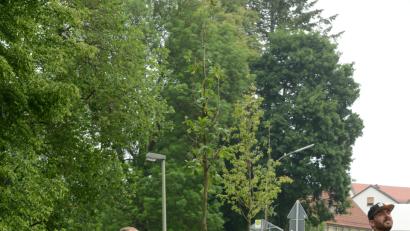 Bild: bey
Ein Gartenbauunternehmen pflanzte entlang der Leitplanke zwei Linden- und zwei Ahornbäume.