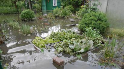 Bild: Kunz
So fand das Ehepaar Prögel am Dienstag seinen Garten vor.