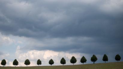 Bild: Sebastian Gollnow/dpa
Symbolbild