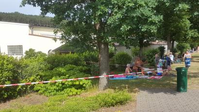 Bild: Hirsch
Weil in Bäumen Nester des Eichenprozessionsspinners entdeckt wurden, sind einige  Liegeflächen im Erlebnisbad abgesperrt.