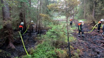 Bild: Feuerwehr Wiesau/exb
Rund zwei Stunden dauerte der Waldbrand-Einsatz, zu dem die Feuerwehren aus Wiesau und Schönhaid-Leugas in den „Schneiderschlag“ gerufen wurden. Dabei gestalteten sich die Löscharbeiten schwieriger als gedacht.