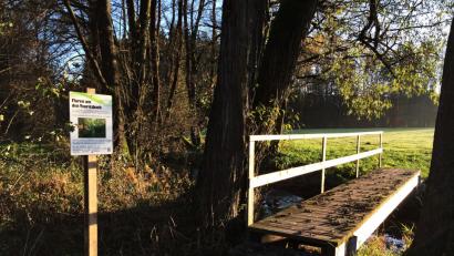 Bild: hai
Fünf Infotafeln sind am Speichersdorfer Naturlehrpfad verschwunden.