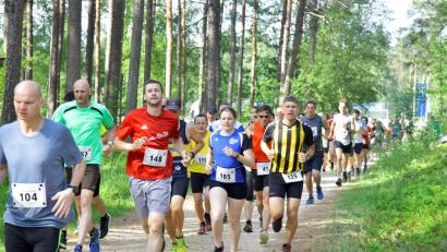 Bild: Ziegler, Hubert [ZG] (HUBERT.ZIEGLER@ONLINE.DE)
Alexander Kratzer (M 45) führt diese Läufergruppe in einer Waldpassage an. Er benötigte für die 8300 Meter 36:30 Min.Bild: Ziegler