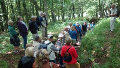 Bild: COG
Am Hartmannsweilerkopf, einem Scchlachtfeld des 1. Weltkriegs, stehen die Teilnehmer der Studienfahrt in einem ehemaligen Laufgraben, als der Führer das System der 90 Kilometer langen Lauf- und Schützengräben erläutert. Die Bäume sind alle jung, denn 1918 war der Berg vom ständigen Beschuss völlig kahl und verwüstet