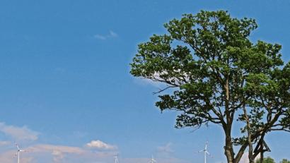 Bild: tr
Die Idylle trügt. Der Windpark bei Ellenfeld ist bei Naturschützern in die Kritik geraten. Nun prüft ein externer Gutachter, ob es dort eine Population von geschützten Rotmilanen gibt.  	Bild: tr