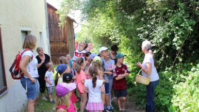 Bild: exb
Die Kinder waren ganz begeistert von der  Kräuterwanderung, die Monika Ermer rund um Altfalter organisiert hatte.