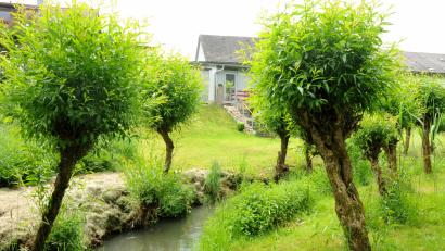 Bild: Stephan Huber
Ein Bach durchquert den Garten von Karl-Heinz Wickl.