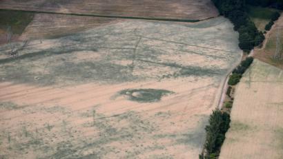 Bild: Ralf Hirschberger/dpa
Das Gesicht des Frühlings 2018: Teile eines Feldes in Brandenburg sind Ende Mai wegen der Hitze bereits braun gefärbt und vertrocknet.
