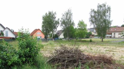 Bild: Seifried
Bis auf Bäume und Unkraut wächst nichts auf dem ehemaligen Festplatz, wo einmal ein Seniorenheim stehen soll. In Mantel mehren sich die Stimmen, dass daraus nichts mehr wird und der Grund an die Marktgemeinde zurückfällt.