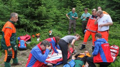 Bild: nm
Großer Auflauf auf einer kleinen Lichtung: Eine von der Forstverwaltung initiierte Einsatzübung führte vor Augen, wie wichtig und gleichermaßen schwierig professionelle Hilfe im Wald ist. Die Vorgaben wurden mit Bravour bewältigt.