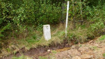 Bild: exb
Eigenmächtige Unterhaltungsmaßnahmen an Grenzgewässern (Bild) durch Pächter und Grundstückseigentümer ziehen viel Aufwand nach sich und werden geahndet.