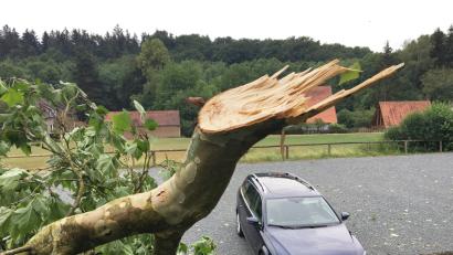 Bild: Gabi Schönberger
Nach dem Unwetter in Neustadt/WN.