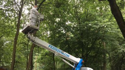 Bild: Landratsamt Schwandorf
Eine Fachfirma sorgte dafür, dass die Höllohe wieder gefahrlos besucht werden kann. Der Eichenprozessionsspinner wurde beseitigt.