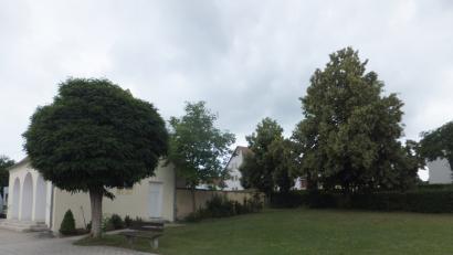 Bild: ibj
Die Rasenfläche neben dem Leichenhaus würde sich für Urnengräber und Baumbestattungen eignen, so die Meinung der Markträte.