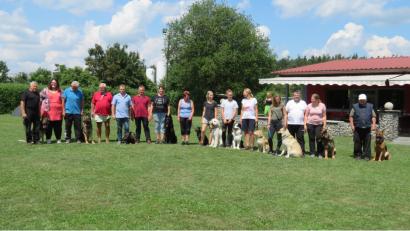 Bild: rn
Nicht nur Schäferhunde stellen sich der Prüfung.