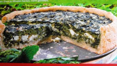 Bild: hl
Meldenkuchen