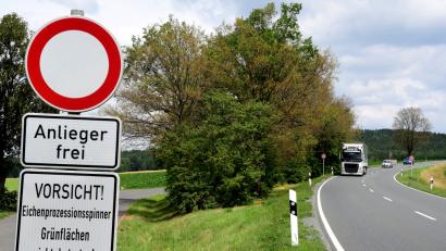 Bild: Petra Hartl
An dieser Parkbucht bei Bernricht sind die Kronen von mindestens fünf Eichen kahlgefressen.