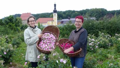 Bild: Völkl
Petra Bergler-Fischer (rechts) und ihre Tochter Veronika beginnen schon frühmorgens auf dem Feld in Wolfring mit der Rosenernte.