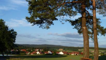 Bild: ptr
Idylle mit Fernblick am Waldfrieden in Teunz.