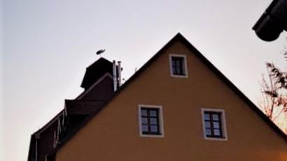 Bild: mng
Nicht auf dem Dach der Pfarrkirche, sondern hoch über dem einstigen Eiskeller neben Hilperts Braustub'n hat der Storch eine Rast eingelegt.