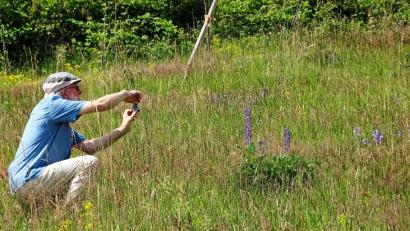 Bild: hl
Viel zu erkunden: Dr. Markus Strauß von der Stiftung Essbare Wildpflanzenparks (Mitte) führte interessierte Gäste über den ersten Teil des Pfades.