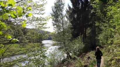 Bild: Stefan Puhane
Der Eixendorfer See bietet alles, was Naturliebhaber schätzen.