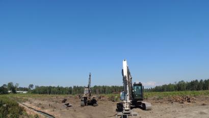 Bild: exb
Für das Vehicle Maintanance Center müssen fast zehn Hektar Wald weichen.Die Rodung ist erfolgt,  nun wird entstockt. Bemerkenswert ist der Amphibienschutzzaun. Es läuft alles nach deutschem Recht mit Ausgleichsmaßnahmen.