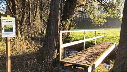 Bild: hai
Der Tannensteg gibt der Mannertruppe ihren Namen.