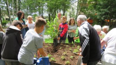 Bild: Adam, Johann [ADJ]
Gemeinsam bepflanzten Schüler der Mittelschule und Bewohner des Seniorenheim Löffler das Hochbeet.