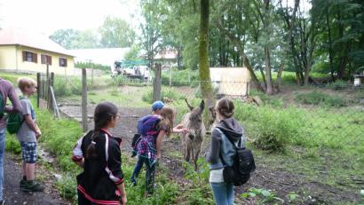 Bild: EXB
Die Schüler machten sich auf den Weg durch den "Zauberwald"