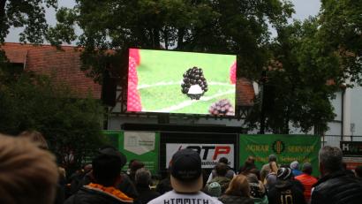 Bild: sne
Public Viewing