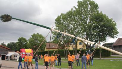 Bild: frd
Nach alter Tradition ist der 28 Meter lange Kirwabaum unter den bewundernden Blicken der Zuschauer mit Muskelkraft hochgehievt worden.